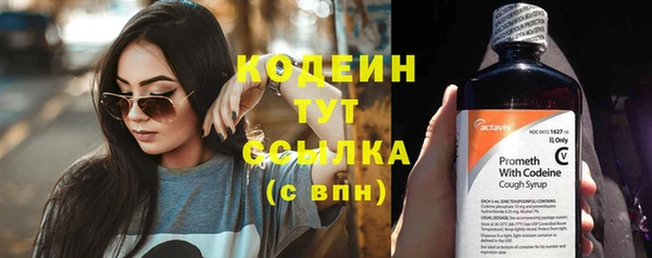 гидра Богородск