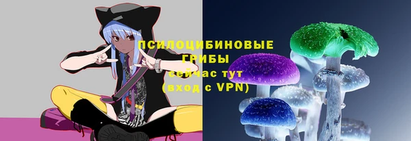 гидра Богородск