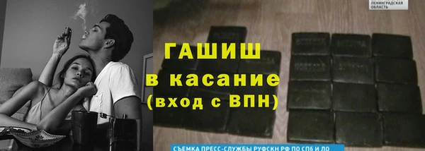 гидра Богородск