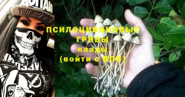 каннабис Богданович