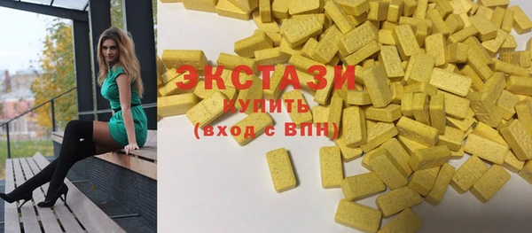 гидра Богородск