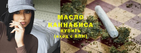 гидра Богородск
